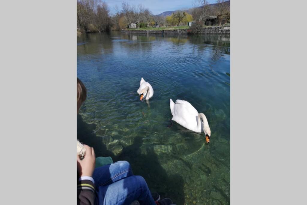 Le Portougais, Chalet A Chanaz, La Petite Venise Savoyarde Εξωτερικό φωτογραφία