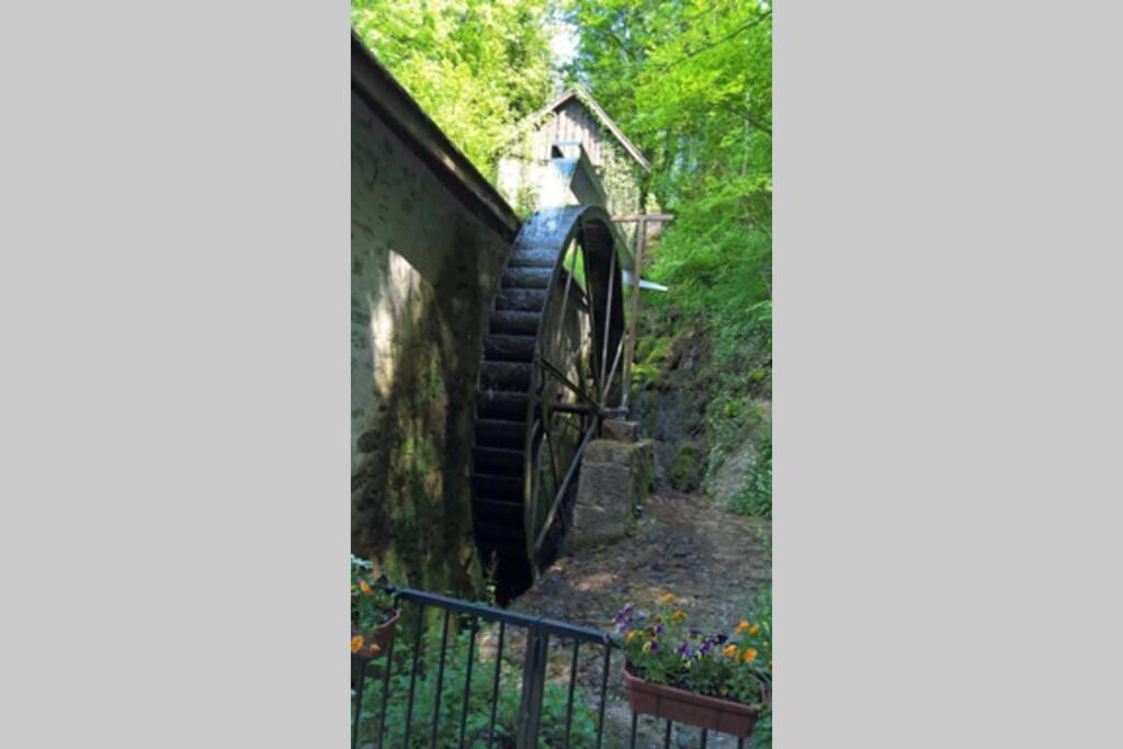 Le Portougais, Chalet A Chanaz, La Petite Venise Savoyarde Εξωτερικό φωτογραφία